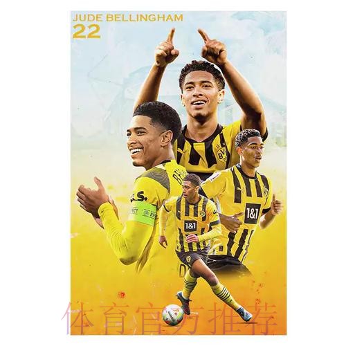 最新世界杯比利时贝林厄姆焦点对决深度解读